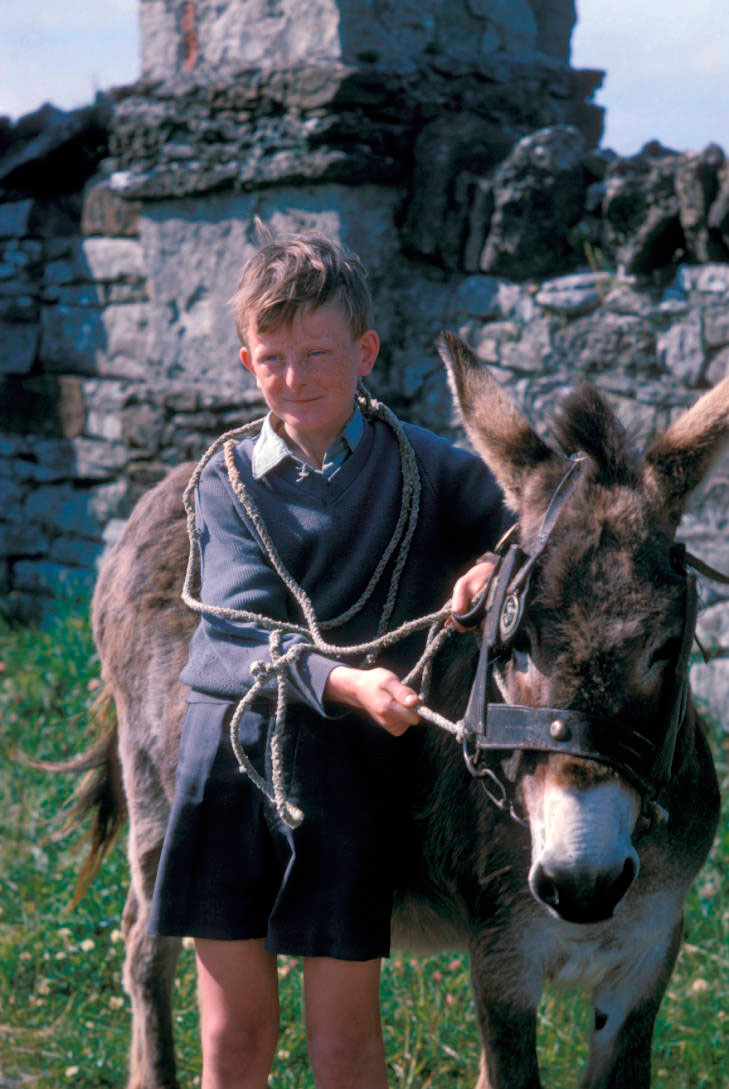 Boy holding his donkey's bridle (Мальчик, держащий за уздечку осла), c.1964