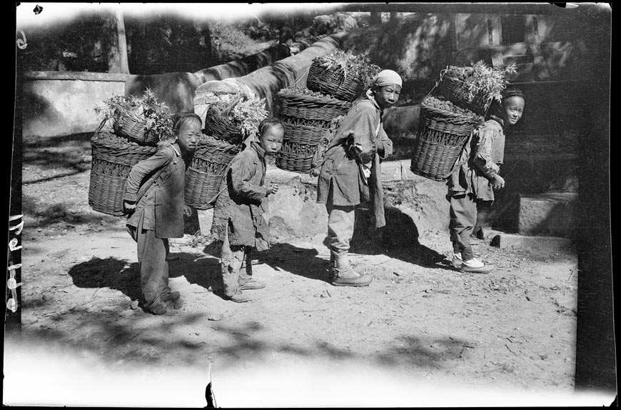Nut Boys («Ореховые» мальчики), 1917-1919