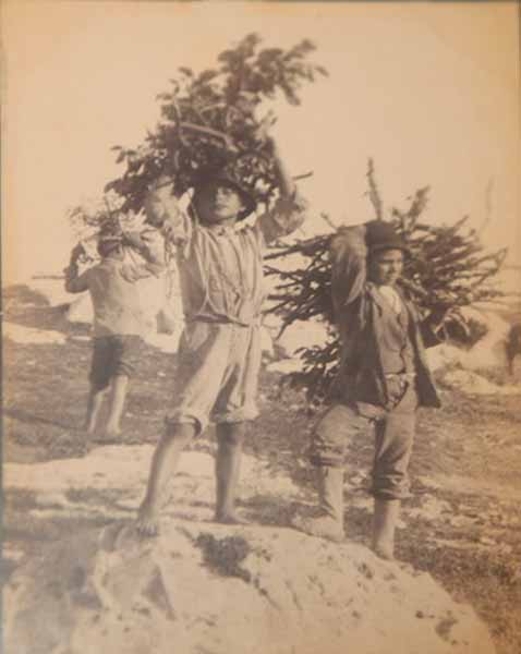 Three boys carrying bundles of brush (Три мальчика, несущие вязанки хвороста), c.1900