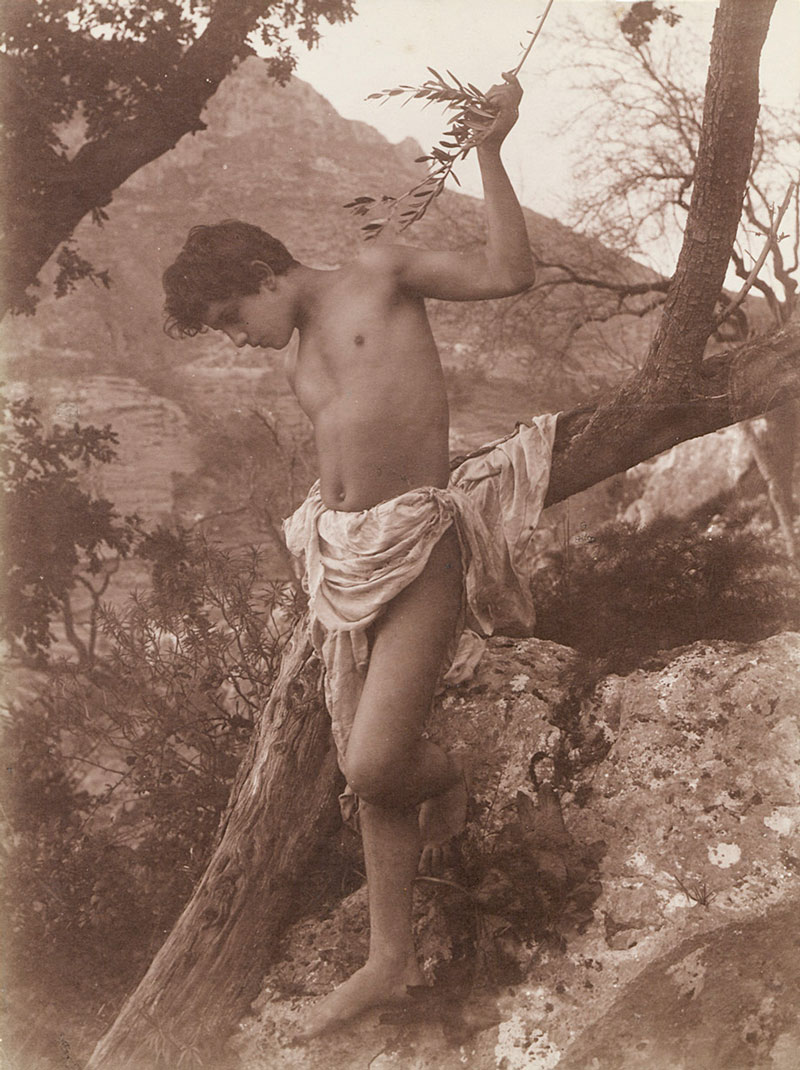 Boy with loin cloth on tree trunk (Мальчик в набедренной повязке у ствола дерева), 1900s