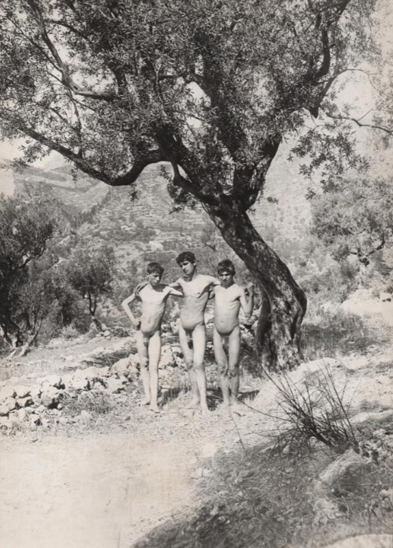 Tre ragazzi nudi sotto un albero (Три голых мальчика под деревом)