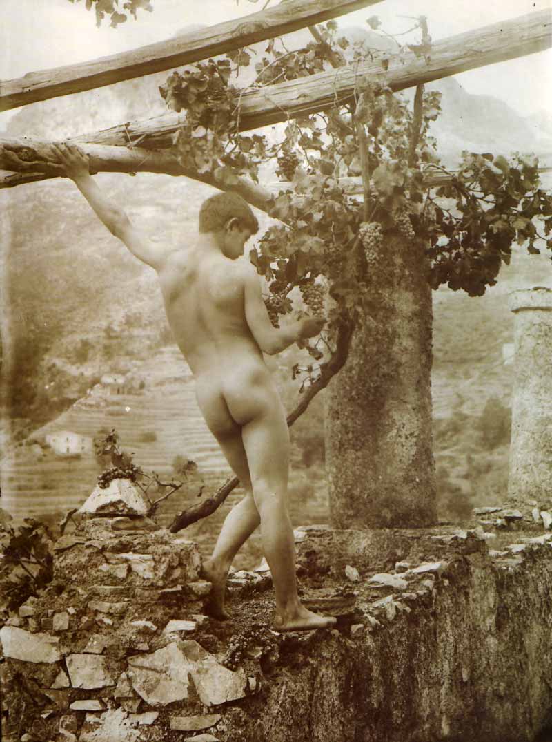 Nudo maschile accanto a vigna (Обнаженный мужчина рядом с виноградником), c.1895