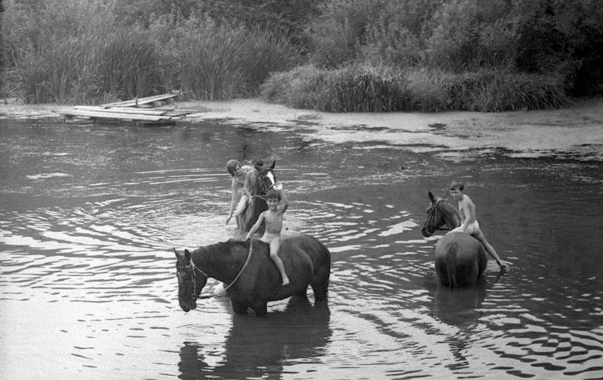 Купание коней (Bathing horses), август 1972