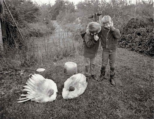 Barry, Dwayne and Turkeys (Барри, Дуэйн и индюки), 1970