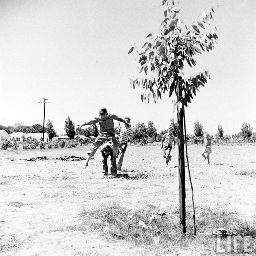 Aroin And Dinuba California Farm Communities (Сообщество калифорнийских ферм Эроайн и Дайнуба), May 1947