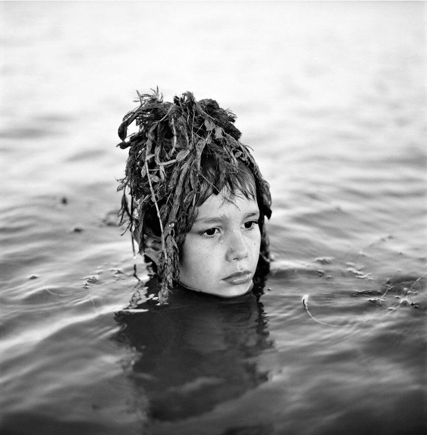 Oscar playing with seaweeds (Оскар, играющий с морскими водорослями)