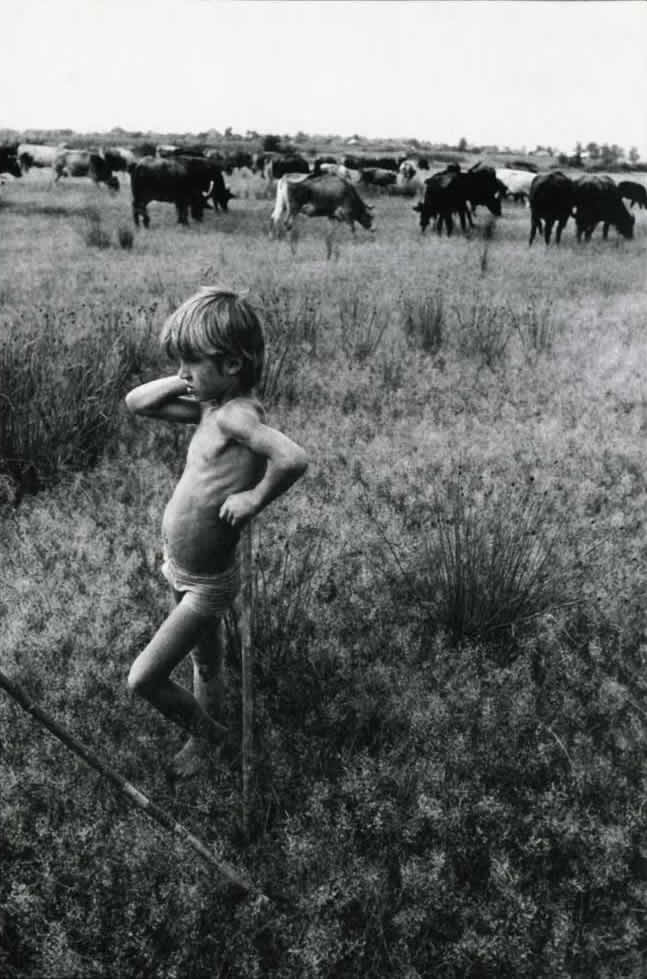 Shepherd boy (Пастушок), 1997