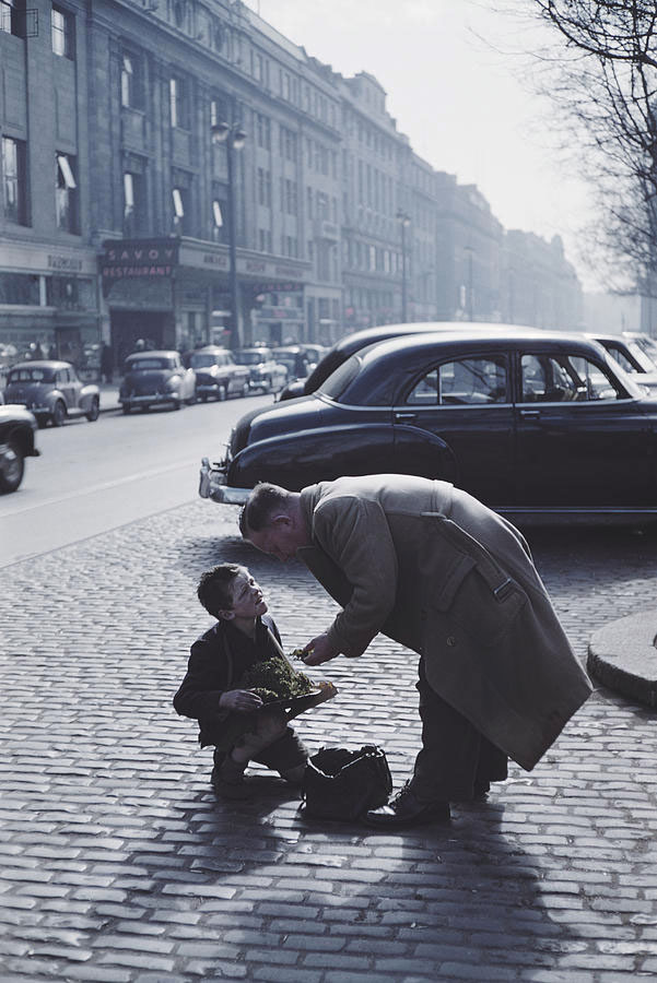 Lucky Heather (Вереск, приносящий счастье), June 1955