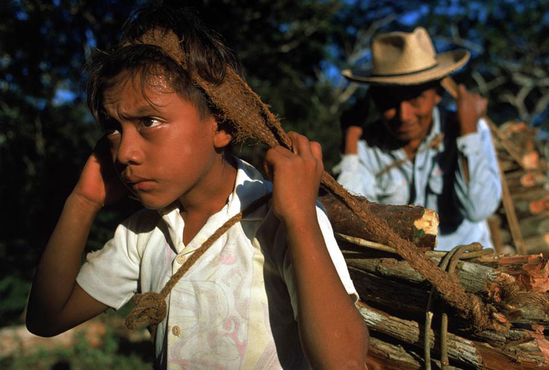 A young boy hauls firewood in a small fishing village (Мальчик тащит дрова в небольшую рыбацкую деревушку). Yaxachen, Mexico, 1975