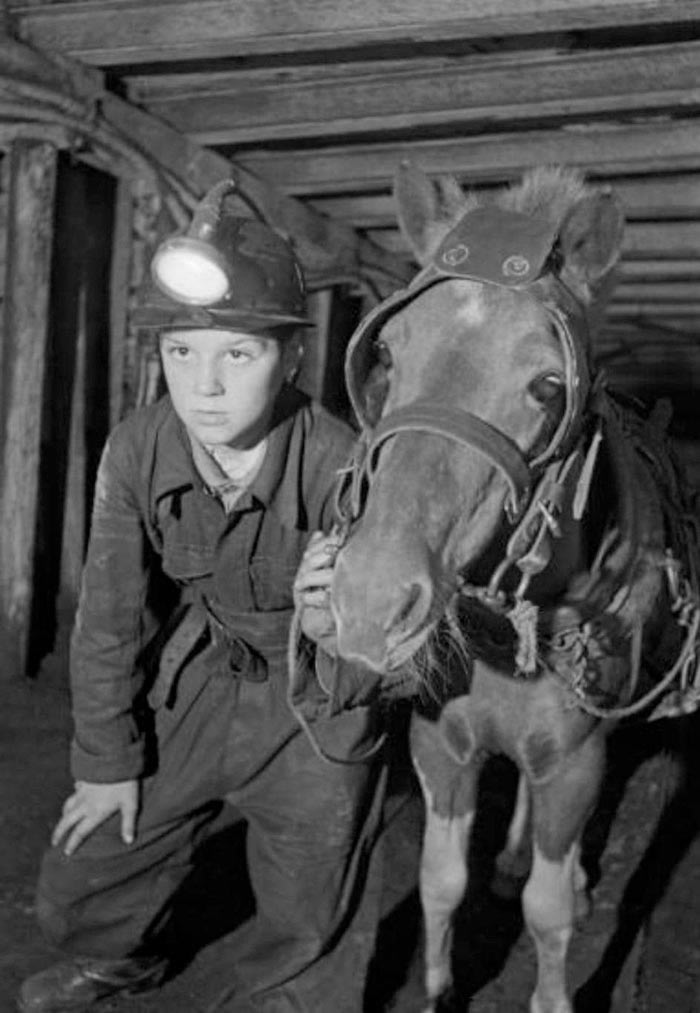 A young miner in a coal mine with a pit pony (Юный шахтер в угольной шахте с пони), 1942