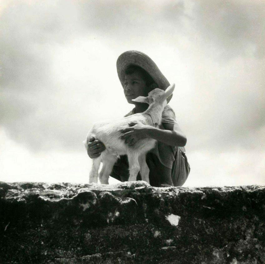 Young Mexican Shepherd (Мексиканский пастушок), 1940s