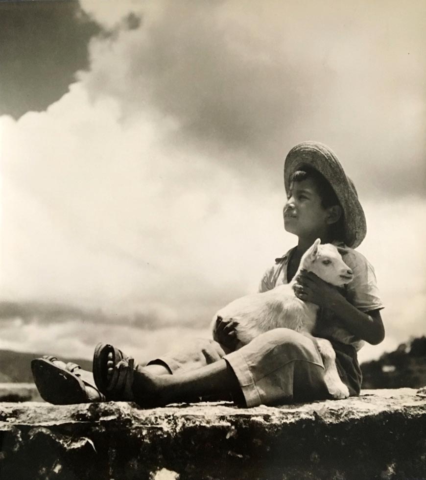 Young Mexican Shepherd (Мексиканский пастушок), 1940s