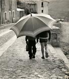 Дождливый день