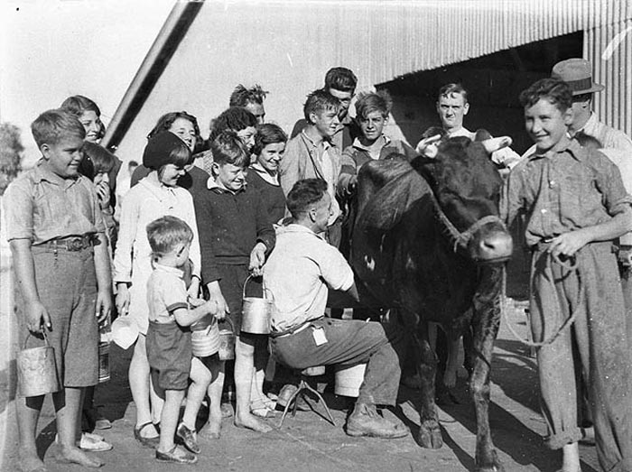 Children's Day, free milk straight from the cow! Royal Easter Show (Детский день, бесплатное молоко прямо от коровы! Королевское пасхальное шоу), 1930s