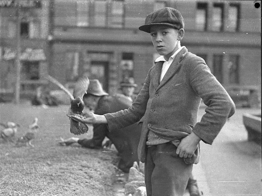 Boy with pigeons (Мальчик с голубями), 1935