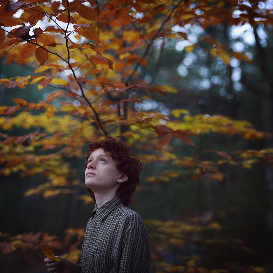 Fall bokeh (Осень боке)