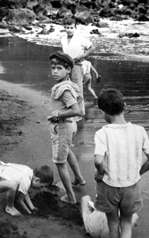 A Certain Freedom: An Unbuttoned Look at Boyhood in Portugal (including Madeira) where Growing Up is Nearly Always Fun