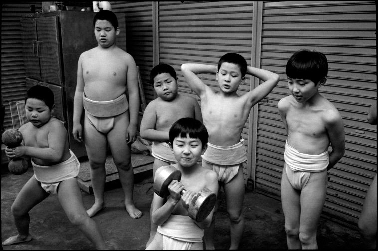 Sumo class for boys (Класс сумо для мальчиков), 1983