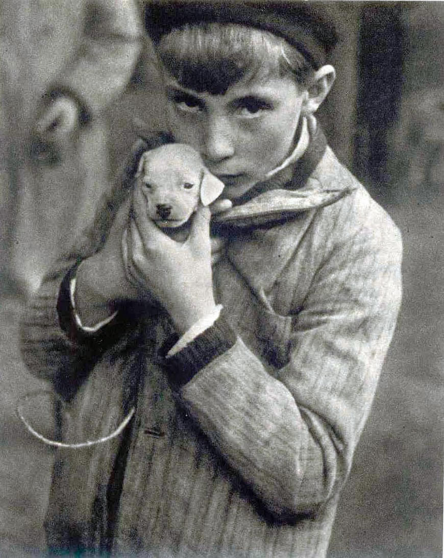 The little dog (Малёнький пёсик), 1928