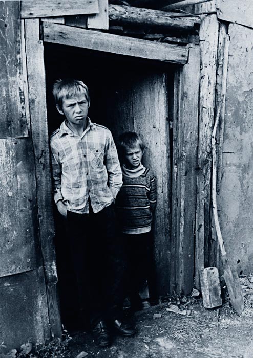 Сарай, два брата, кирпич и лопата (A barn, two brothers, a brick and a shovel)