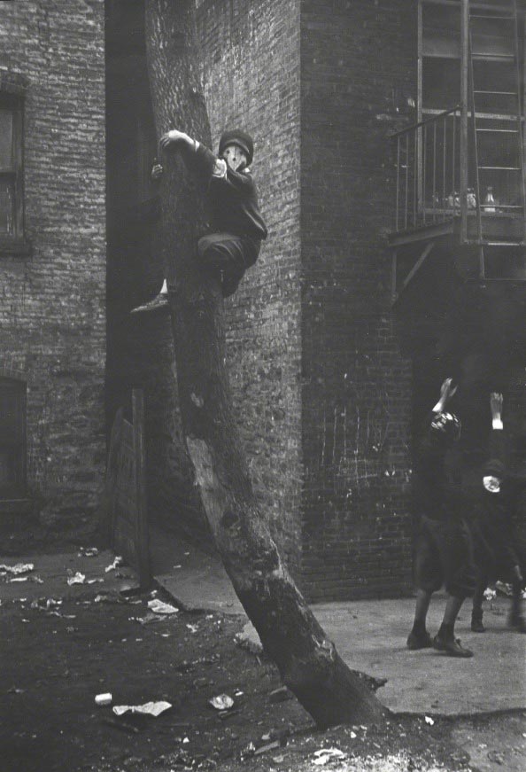 Untitled / Masks in Tree (Без названия / Маски на дереве), 1939-1940