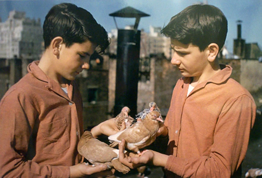 Two boys with pigeons, New York (Два мальчика с голубями), 1963 