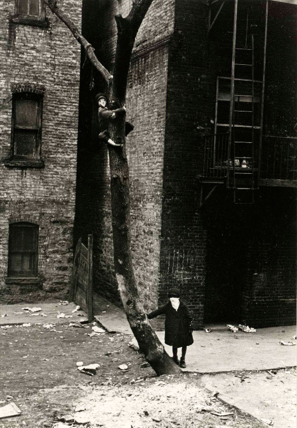 Untitled / Masks in Tree (Без названия / Маски на дереве), 1939-1940