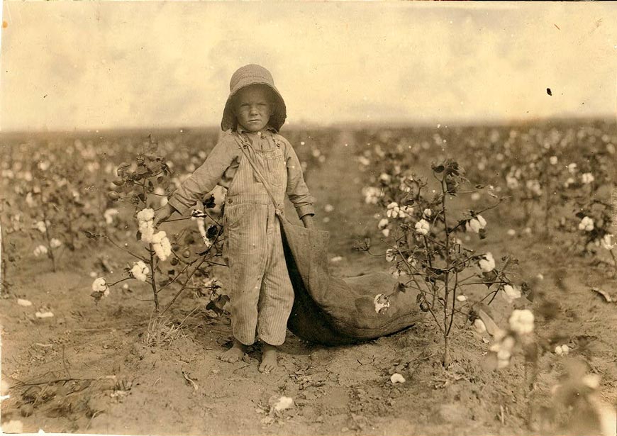 5-year old picking cotton (5-ти летний сборщик хлопка), 1916