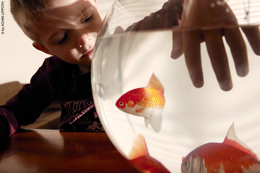 Consolation * Утешение (2012) #06