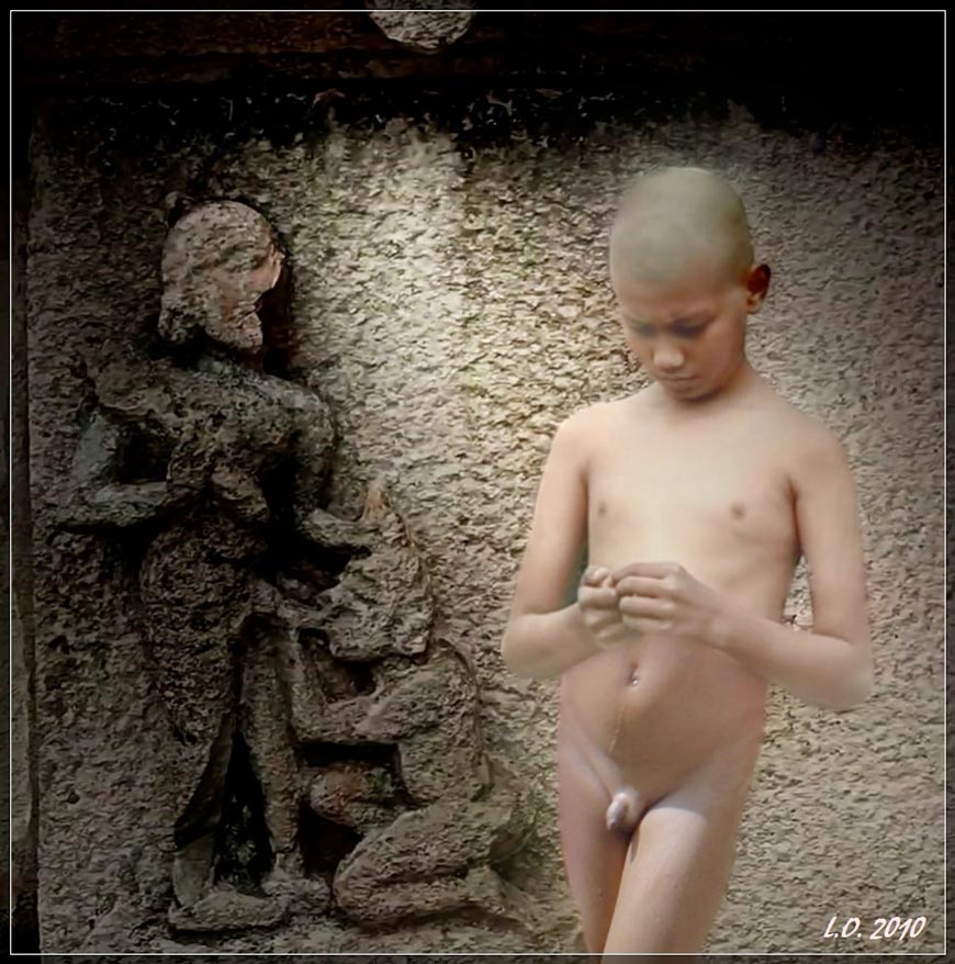 Смущение (Embarrassment), 2010