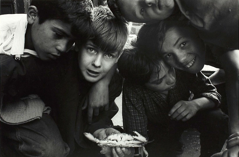 Five Boys and a Crab (Пять мальчиков с крабом), 1964