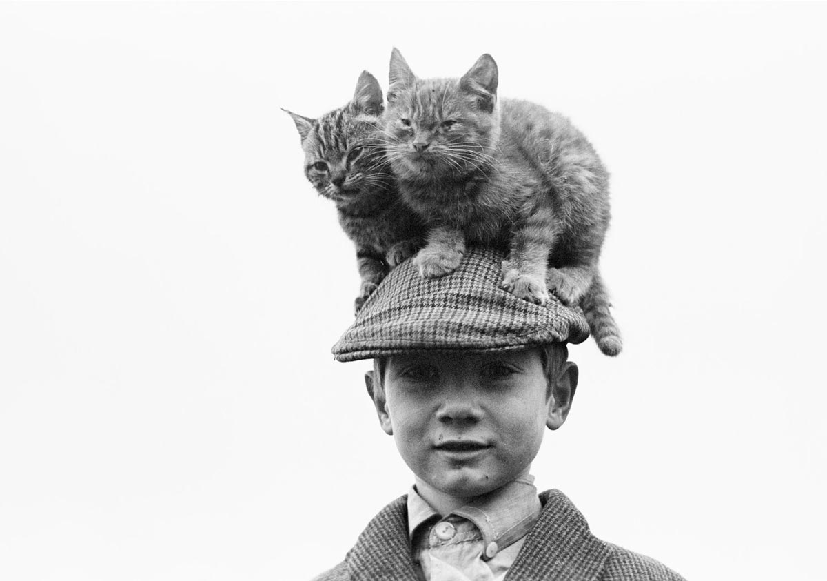 Dan Flynn & His Cats (Дэн Флинн и его кошки), 1967