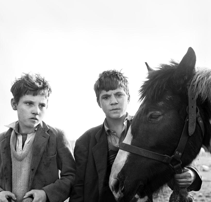 Dan Flynn & His Cats (Дэн Флинн и его кошки), 1967