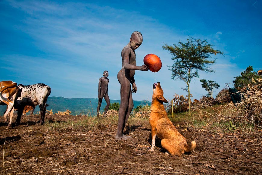 Boy pours juice from a fruit for his dog (Мальчик наливает сок из фрукта своей собаке), 2012