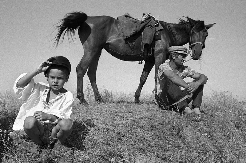 Пастушок (Shepherd boy), 2013