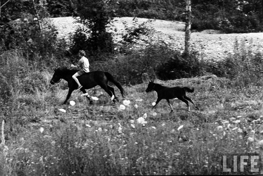 Patrick Powell horseback riding (Патрик верхом на лошади), 1970