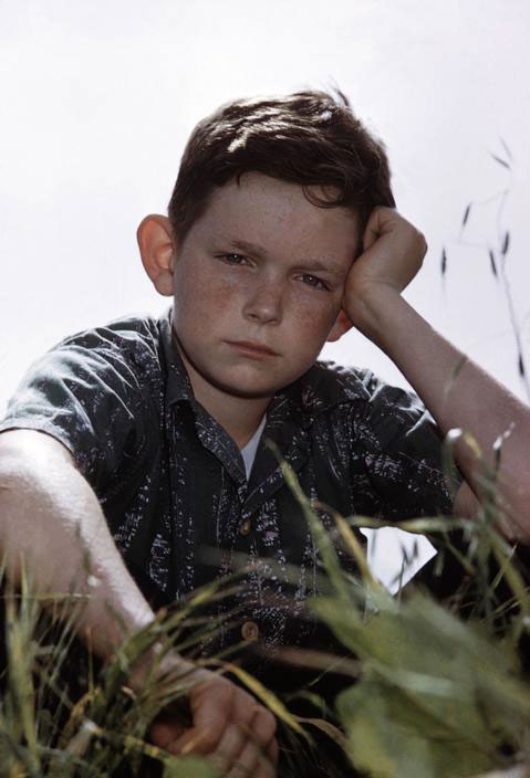 Pensive young boy (Задумчивый мальчик), 1953