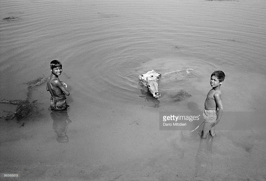 Life along the Brahmaputra river (Жизнь вдоль реки Брахмапутра), 1997 