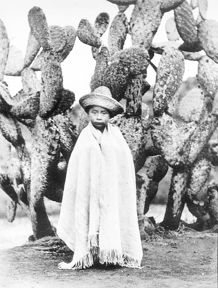 Boy in Front of a Cactus (Мальчик перед кактусом), 1927