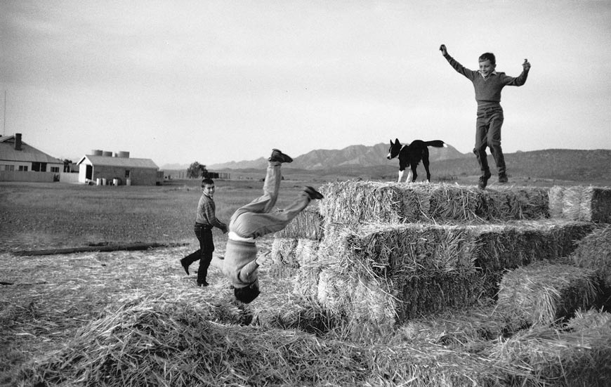 Outback children (Кувыркающиеся дети), 1963