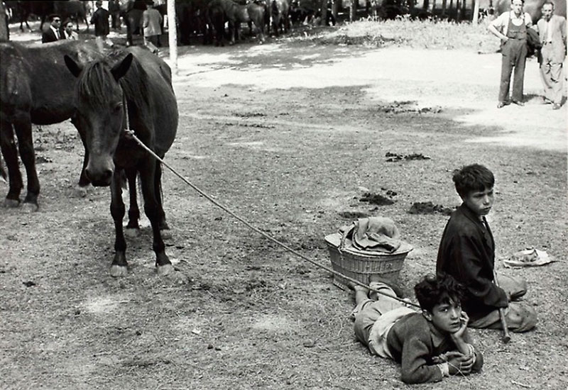 Two Boys with Horses (Два мальчика с лошадьми), 1964