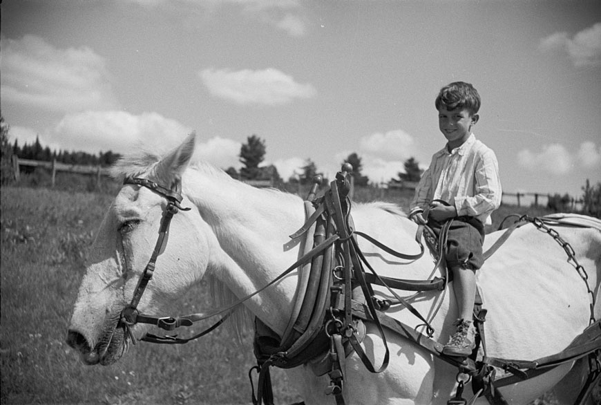 Farm boy and horse east of Lowell (Фермерский мальчик и лошадь к востоку от Ловелла), August 1936