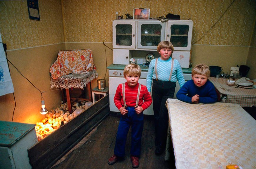 Young boys rearing chicks at home, martial law (Мальчики выращивают цыплят дома, военное положение), 1982