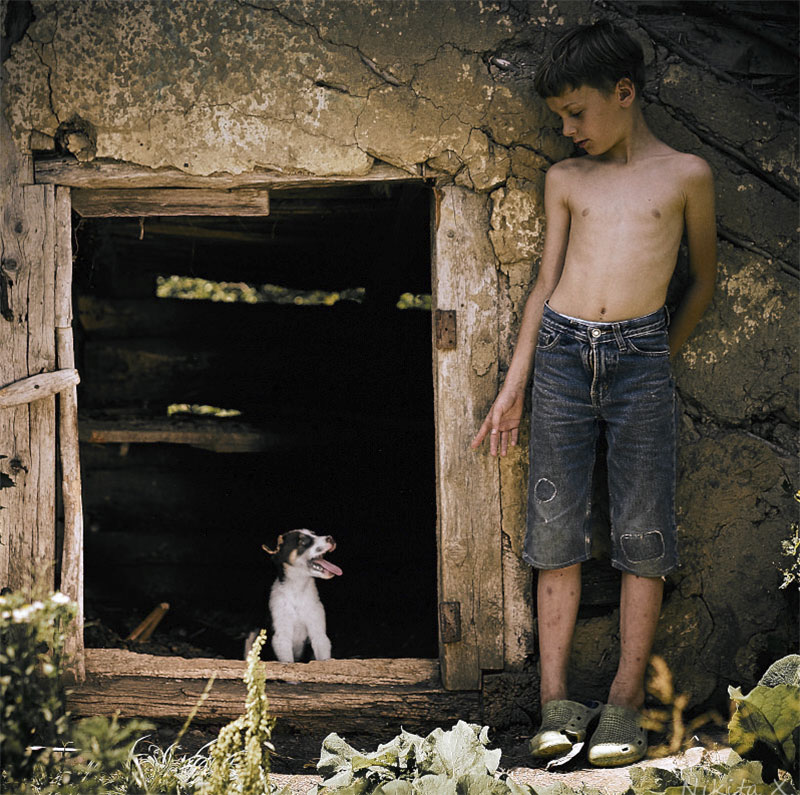 Boy with Dog (Мальчик и собака или Летнее...)