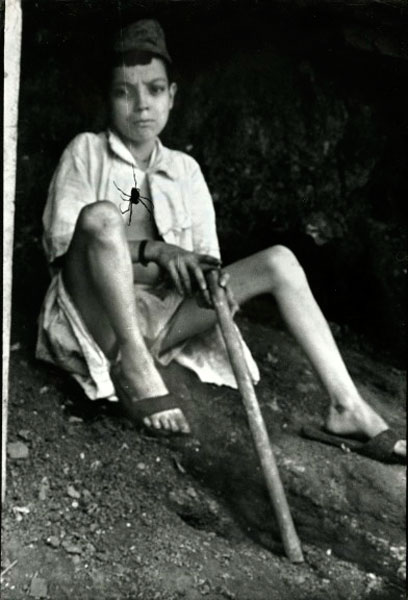 Flavio da Silva holding stick and watching spider in their Rio de Janeiro home (Флавио да Сильва держит палку и смотрит на паука в их доме в Рио-де-Жанейро)