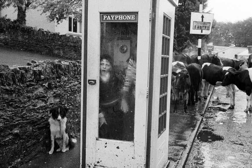 Kenmare Fair (Ярмарка в Кенмэре), August 1982