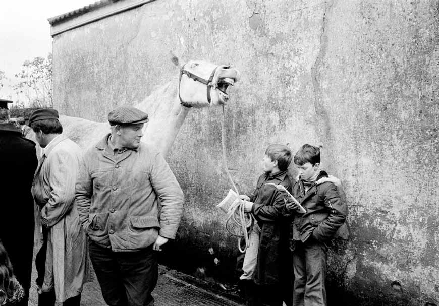 Ballaghaderreen Fair (Ярмарка в Баллахадеррине), 1983