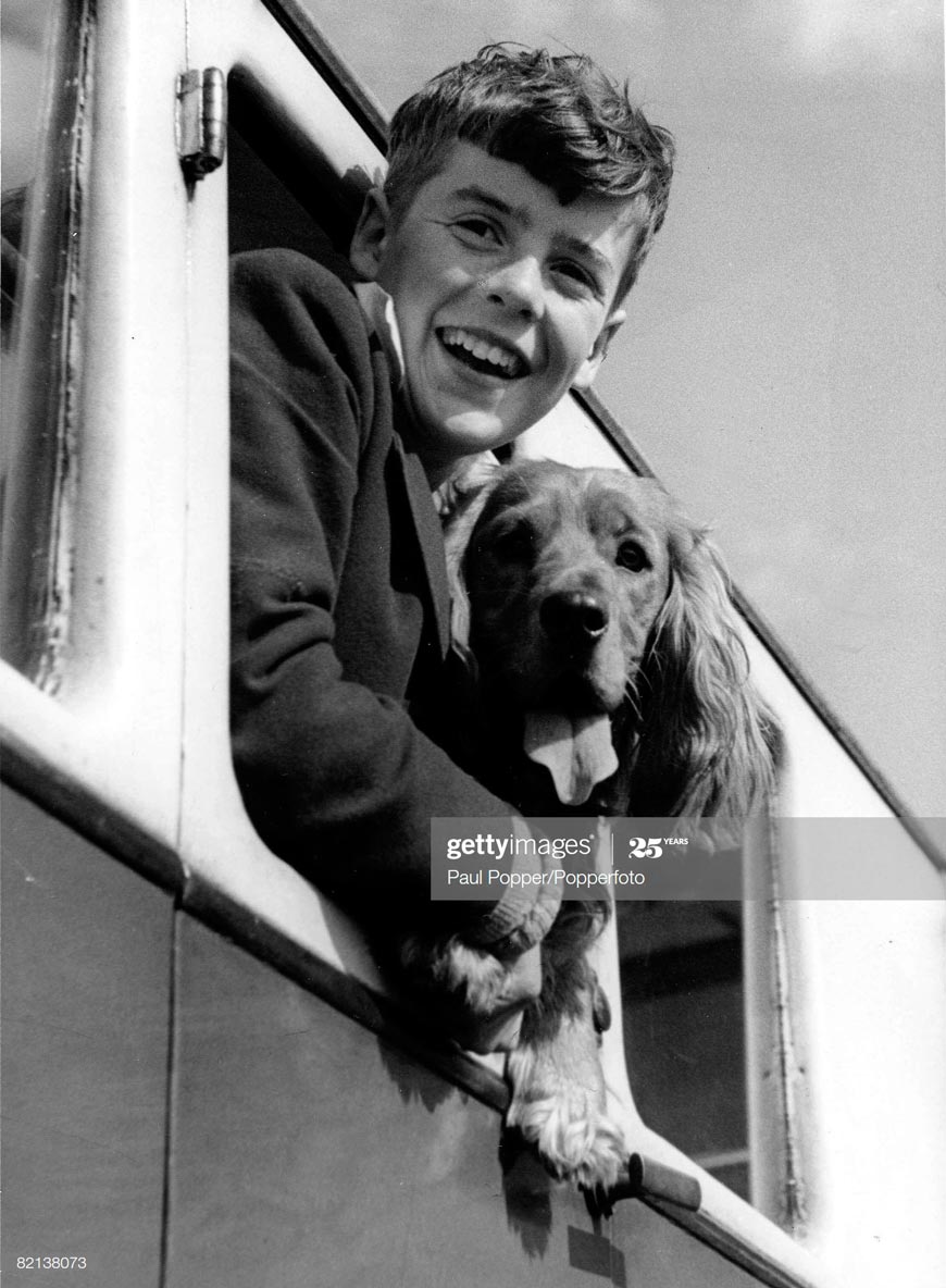 A boy leans out of a train window with his dog (Мальчик, высунувшийся из окна вместе со своей собакой)