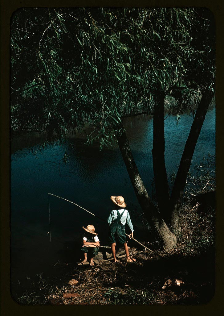 Boys fishing in a bayou (Мальчики, рыбачущие в заливе), June 1940