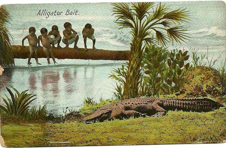 Alligator Bait (Наживка для аллигатора), 1909